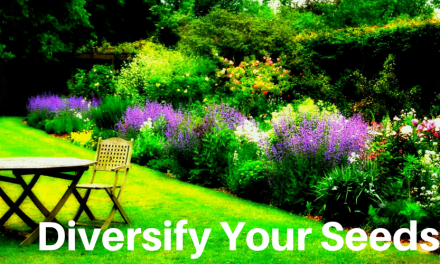 Diversify Your Seeds