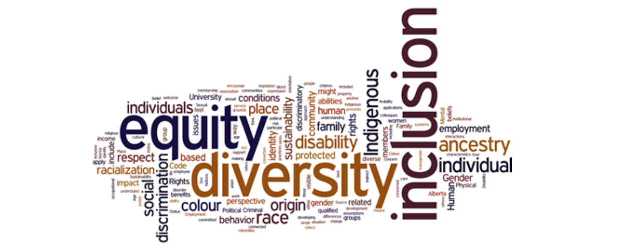 2021 National Diversity Council Accomplishments & Achievements