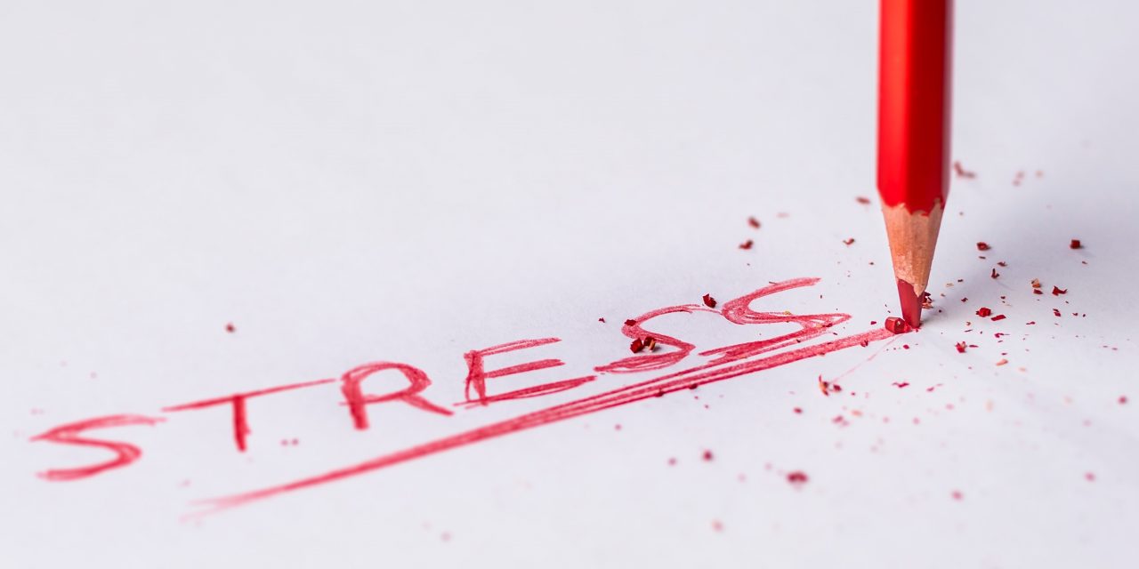Four Cultural Approaches to Managing Stress